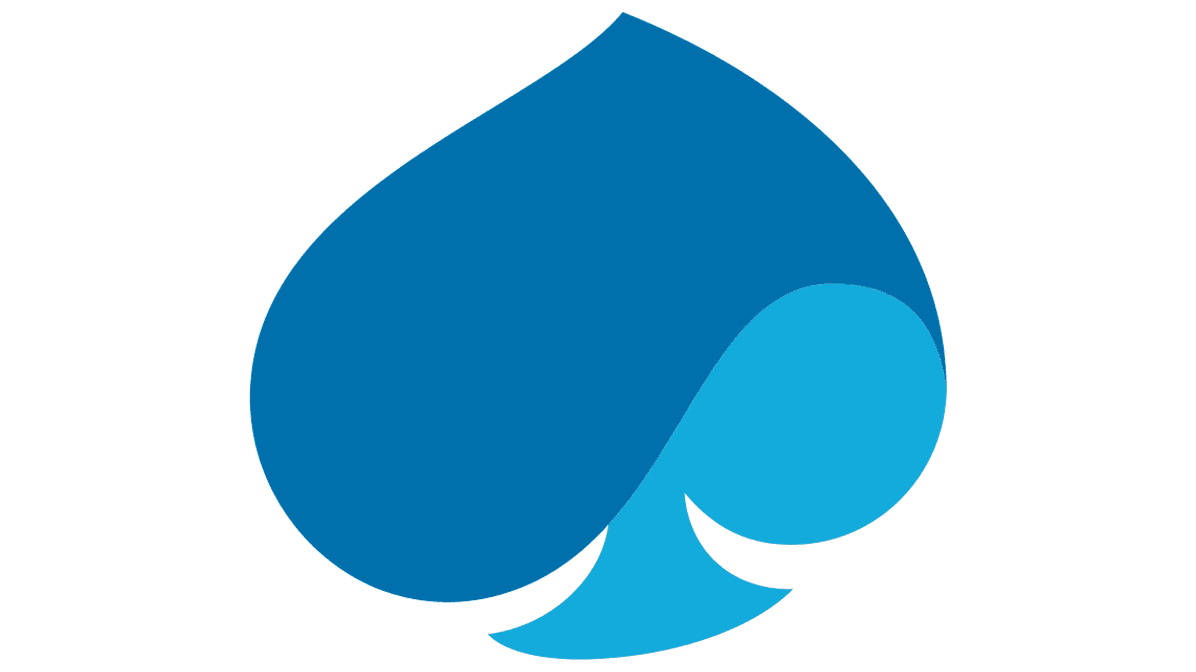Capgemini